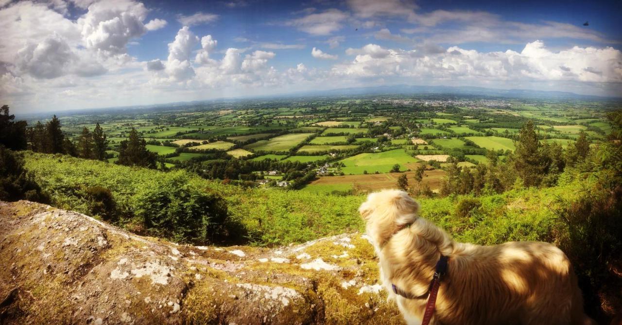 Ballyglass Country House Tipperary Esterno foto